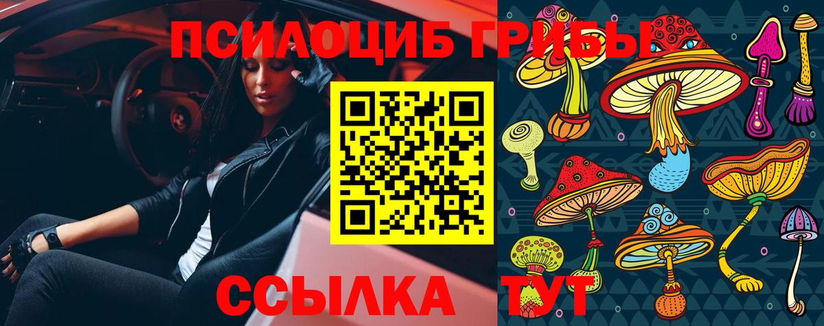 Богданович  Псилоцибиновые грибы Magic Shrooms  Псилоцибиновые грибы Psilocybine cubensis  Вход с VPN 