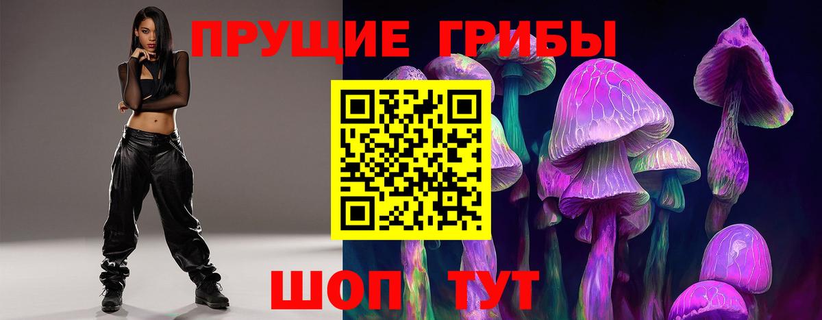 Галлюциногенные грибы прущие грибы Богданович